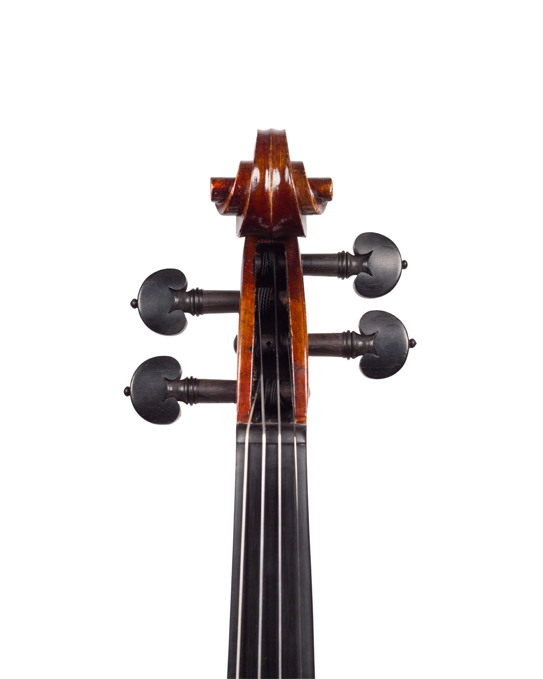 Violino feito à mão verniz à óleo, fundo inteiro